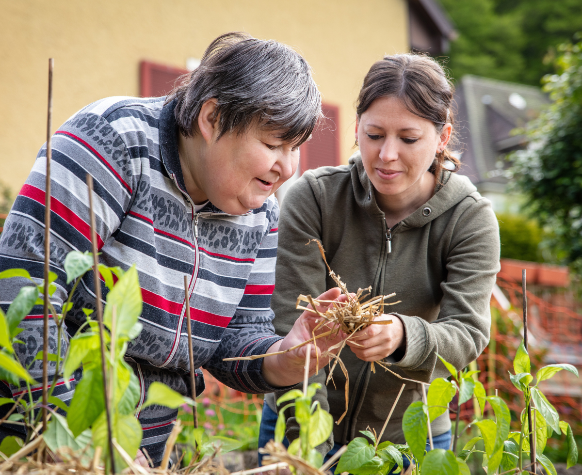 Two women examine plant roots together in a garden, with one wearing a striped cardigan and the other in a green hoodie, surrounded by leafy plants and garden stakes.