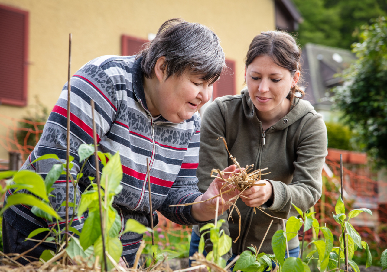 Two women work together in a garden, examining dried plant material while surrounded by green leafy plants, with a yellow building visible in the background.